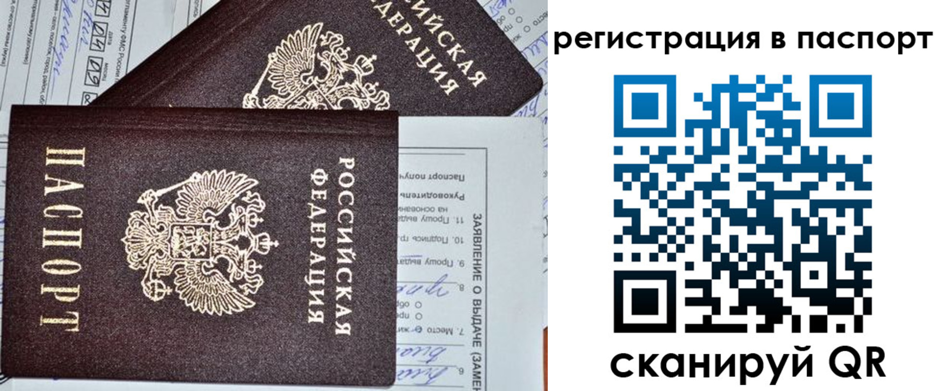 прописка законно в Жуковском
